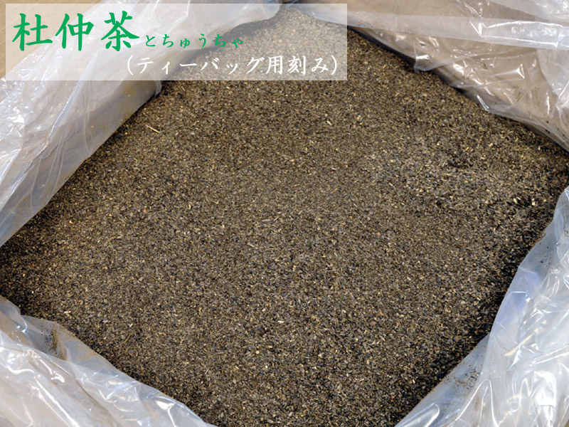 杜仲茶 TB用刻み 杜仲茶 TB用刻み