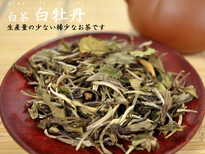 ホワイトティー 白茶 白牡丹（バイムーダン）500g入 セレブにも人気