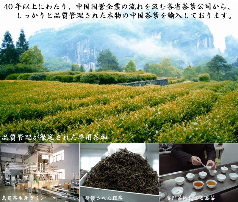 限定タイムセール 鉄観音ブレンド茶 200g×5袋 本場中国福建省産 紅灯牌オリジナル www.rmb.com.ar