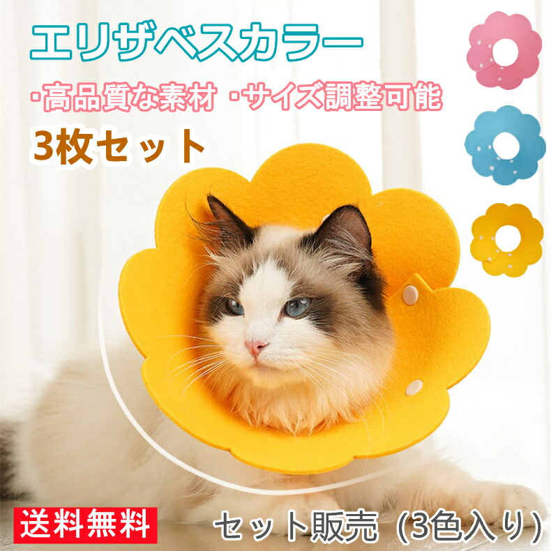 「負けない猫」アンティークwaxベージュ額縁ご確認ページ 負けない猫」アンティークwaxベージュ額縁ご確認ページ