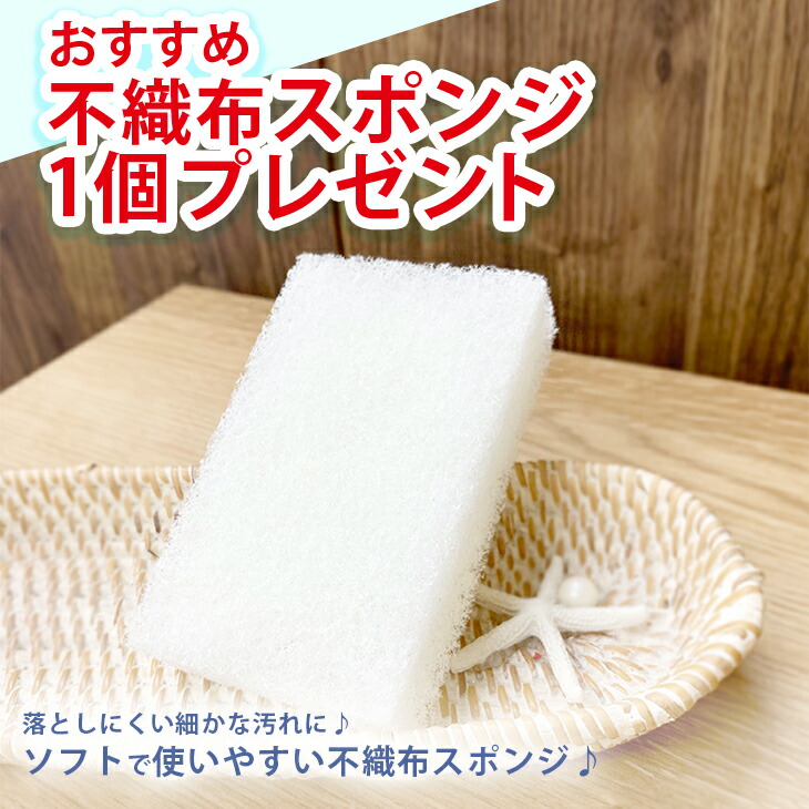 あした心地よい対応 送料無料 真新しい用脚 不布切布海綿体戴き物 スクラブウォッシュ100ml Plarta プラルタ 1ml セッティング 洗い濯ぎ ウォーター垢 上塗 調理場 シンク コンロ 幅 水まわり ウロコ うろこ ミラー スマホ モーター鉄道車両 カー機器 テレヴィジョン