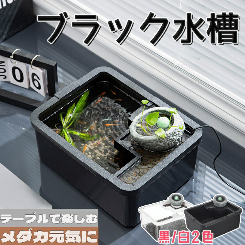 メダカ　容器　トロファスト　メダカ鉢 Amazon | メダカ舟 黒容器 白容器 14L 単品 水槽 トロ舟 トロ