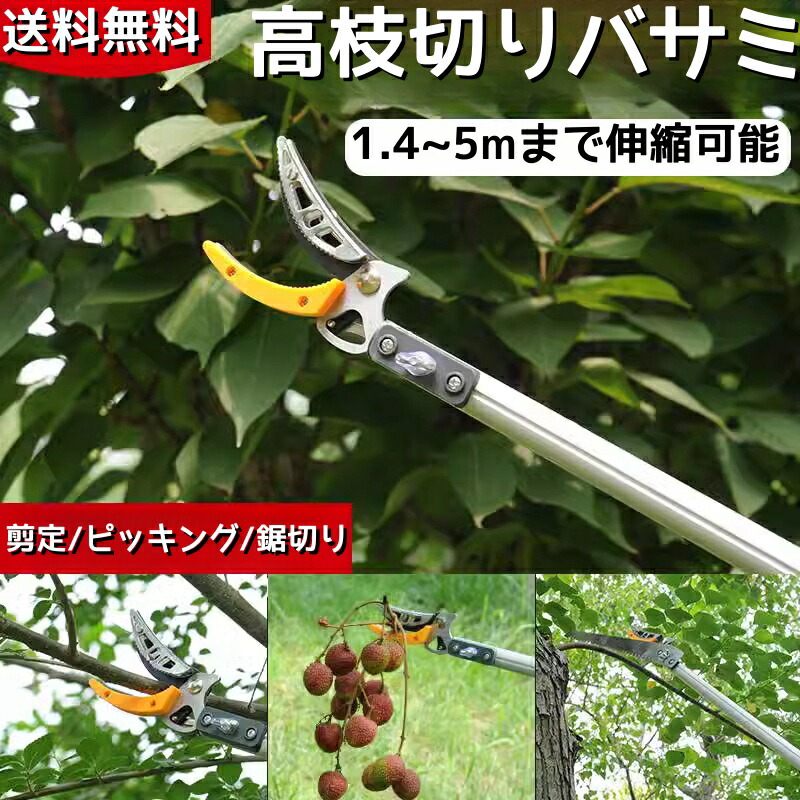 楽天市場】高枝切りバサミ 高枝切鋏 3m 枝切り 高枝切りノコギリ 1.8