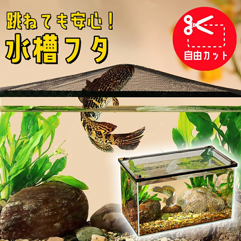 爬虫類ケージ 90×45×45㎝ ストッパー付属 代引き不可】トップテラ 爬虫類飼育ケージ TOP-90×45×45