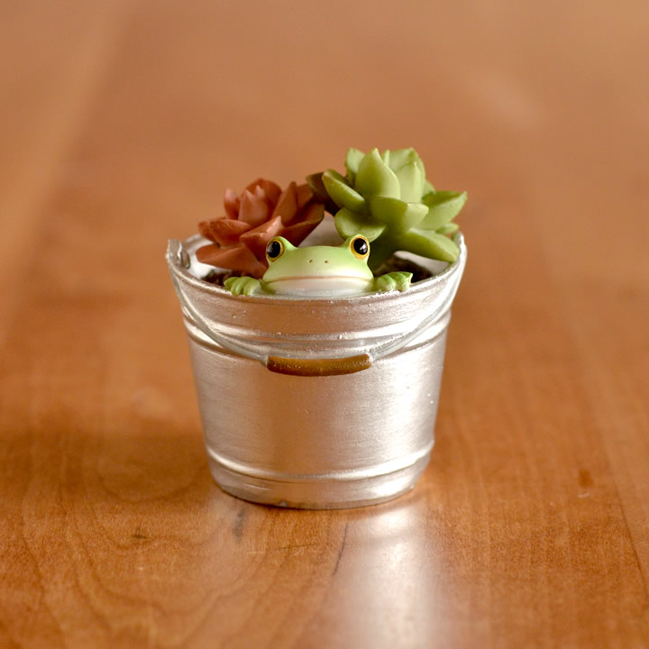 多肉植物とカエル Copeau コポー クッチーナ カエル グッズ 置物 コポー カエル 雑貨 玄関 夏 多肉植物 鉢植え プレゼント ギフト 贈り物 Educaps Com Br