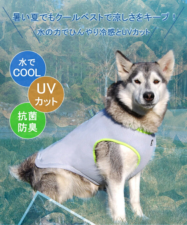 0qh Yeaygr5ttm 0qh Yeaygr5ttm