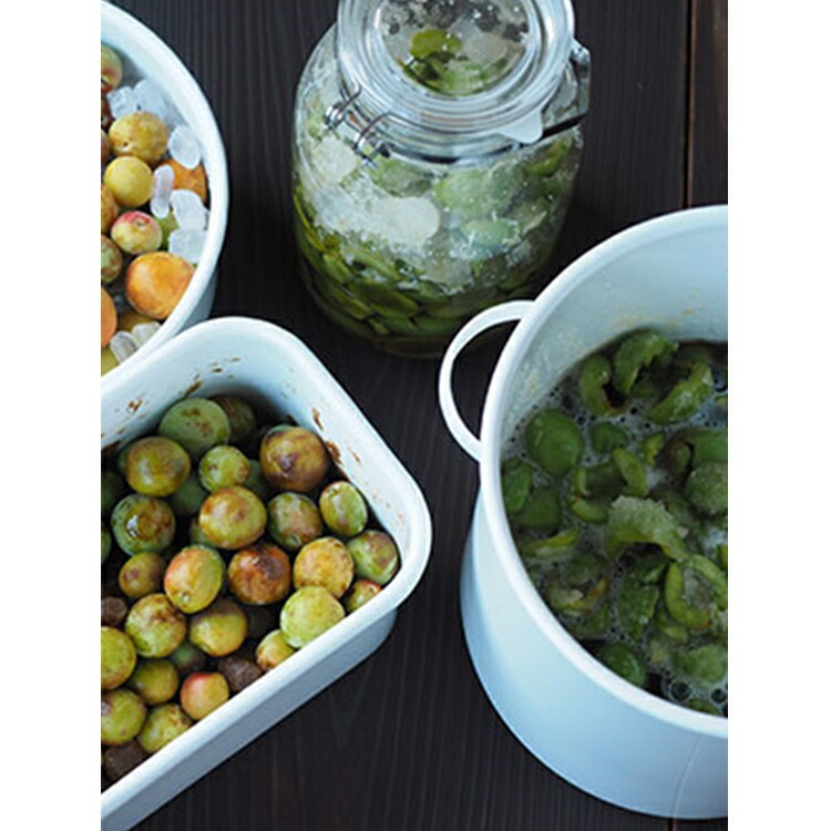 ホーロー ぬか漬け辨天 電気冷蔵庫勘定ぬかフローア入れもの Tk 58 5 8l Atk 50 関係 水田琺瑯 為熟す手先 日本製 漬物装備 膳だて 漬物容器 収蔵容器 漬もの 香 お糧米 Vbpnews Com