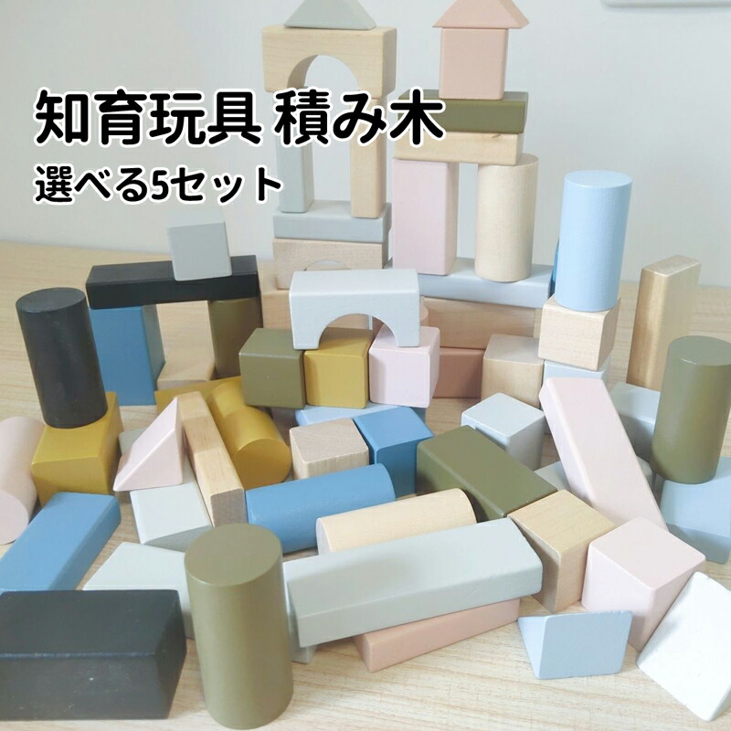 【知育玩具】木製知育玩具セット Amazon | 木のおもちゃ 知育玩具セット 形合わせ はめこみ