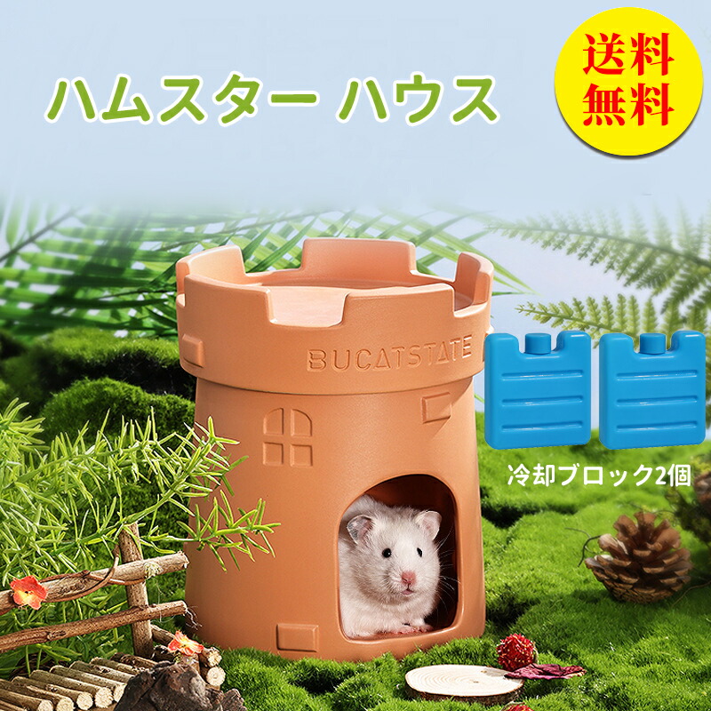 ハムスターのお家(家具付) jcyn230600722.jpg