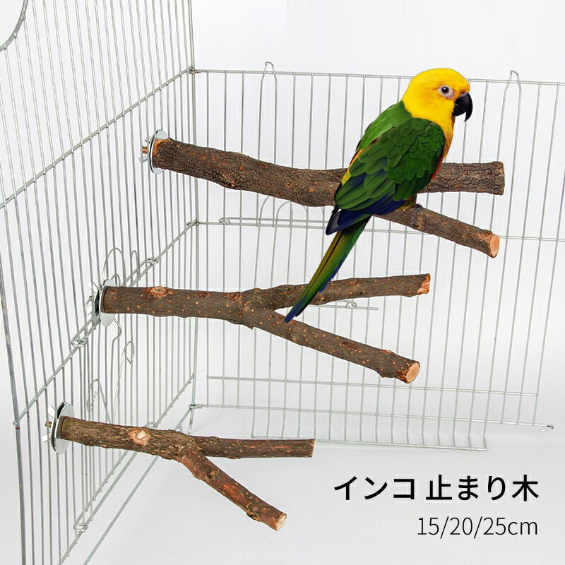 止まり木 miii 9998626【More Style】with専用止まり木 M/Sサイズ共通 φ18mm 鳥
