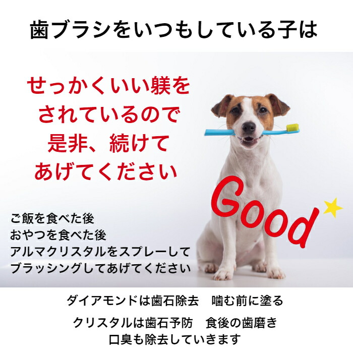 ジェル 予防 1本 30ml おうちケア アルマダイアモンド 天然成分 歯石 歯石取り 歯肉炎予防 犬の歯磨き 自分で 独創的 歯石