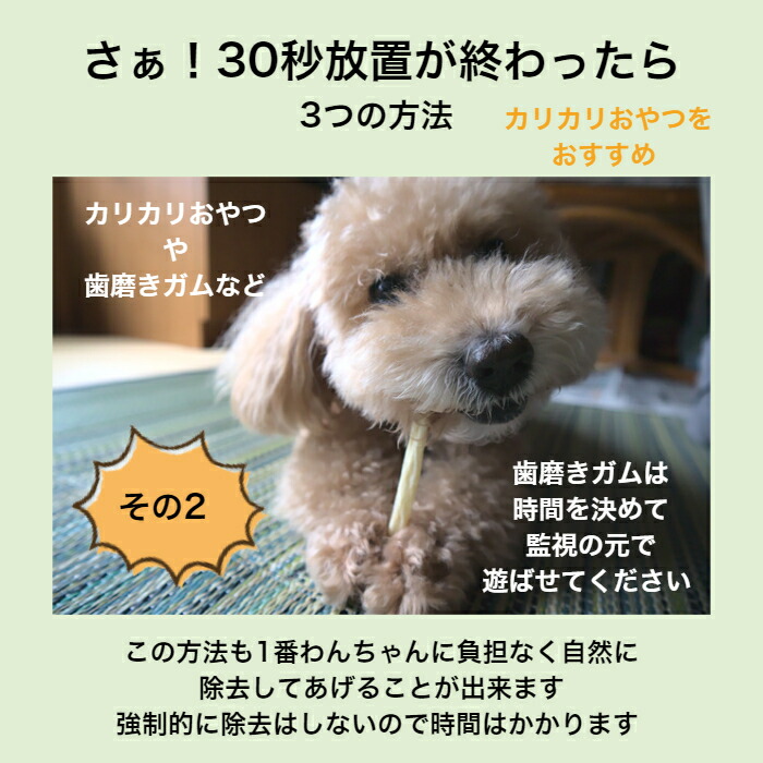 アルマダイアモンド 30ml 1本 犬の歯磨き ジェル 歯石 歯肉炎予防 自分で 予防 天然成分 歯石取り おうちケア ペット用お手入れ用品 