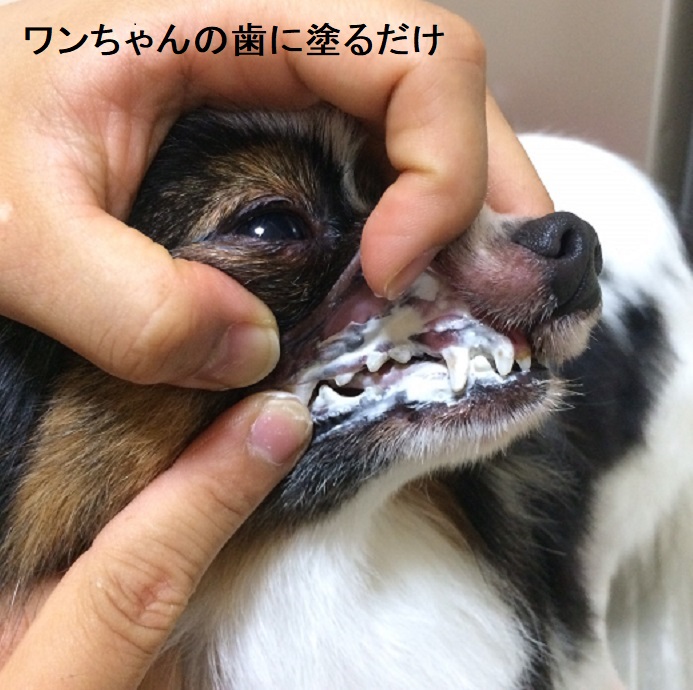 アルマダイアモンド 犬 歯石除去 歯磨き ジェル 予防 ゼオライト不使用 歯石 歯石取り 自分で 天然成分 歯肉炎予防 犬の歯磨き おうちケア 30ml 1本