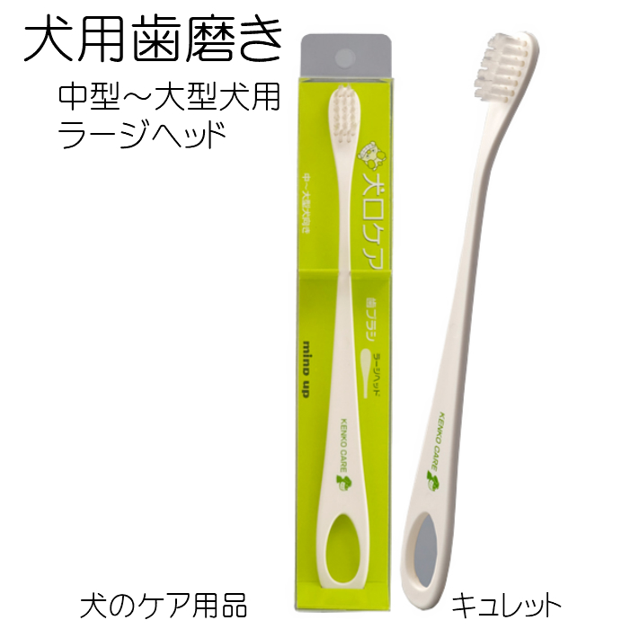 楽天市場 犬口ケア 犬の歯ブラシ ラージヘッド 犬の歯石 除去歯磨き キュレット
