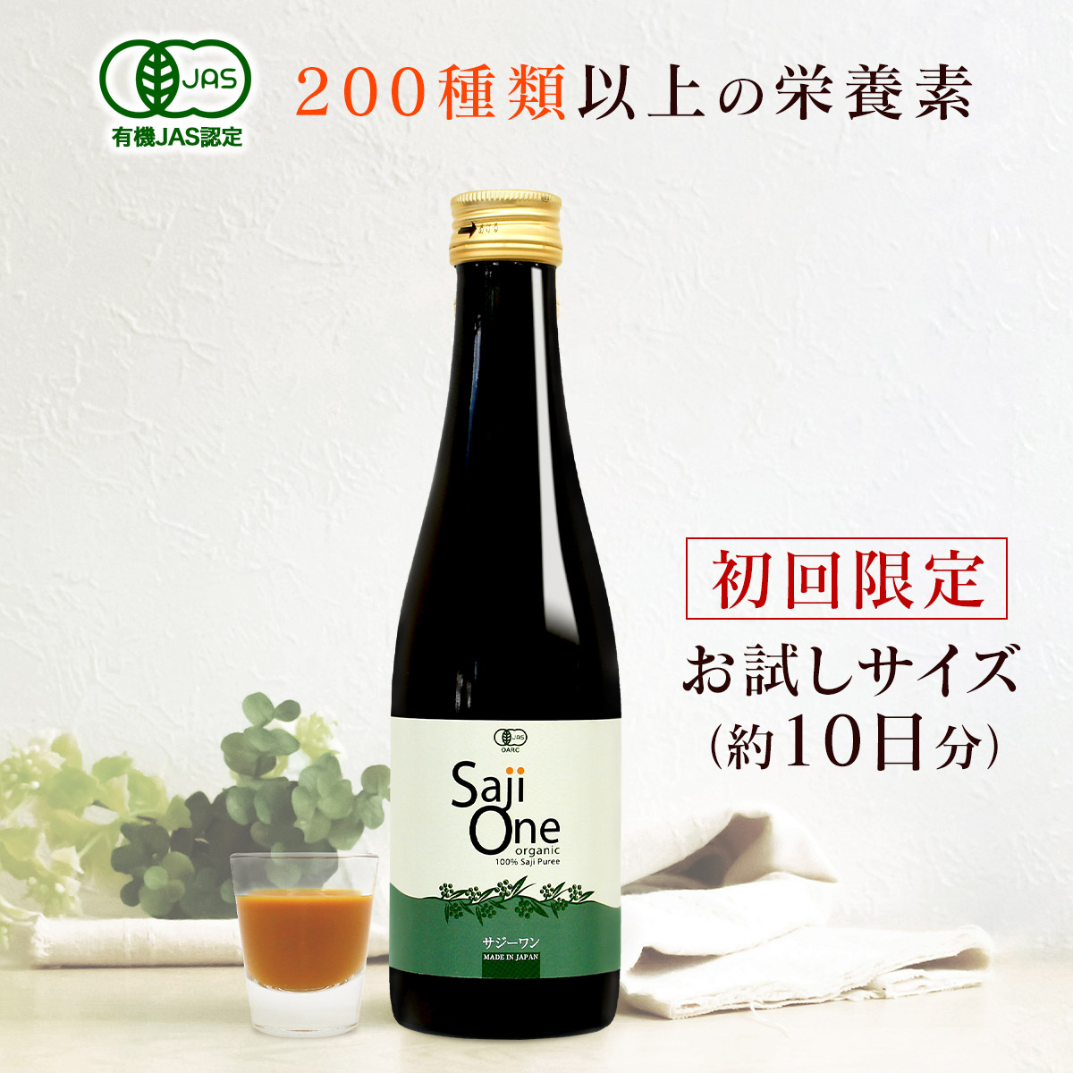 市場 クーポンご利用で1000円OFF 900ml 1:59まで 7 サジー 鉄分 シーベリー SajiOne 11 100％ ドリンク 6本セット  サジーワン サジージュース シーバックソーン