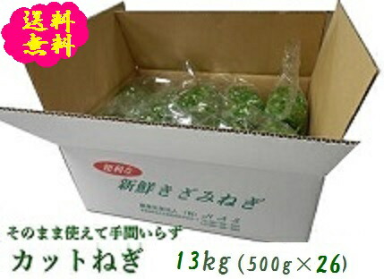 阿波の新鮮カットねぎ 13kg（500g×26袋）業務用 送料無料  徳島県産 自社産 産地直送 クール便 ネギ 薬味 葱