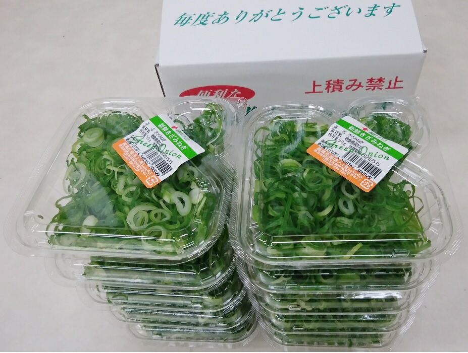 希望者のみラッピング無料】 ねぎ 500g 野菜