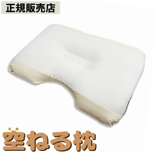 〔尖んがり20倍〕【定まり売りわたす店】空ねる枕(くうねるまくら) (貨物輸送無料) 丸山修寛御師匠さん取り締まる 枕 静電気 はね除ける お休み 熟睡 ノンレムお休み 快眠 安眠