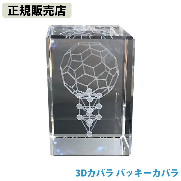 〔ポイント20倍〕【正規販売店】3Dカバラ バッキーカバラ (送料無料)