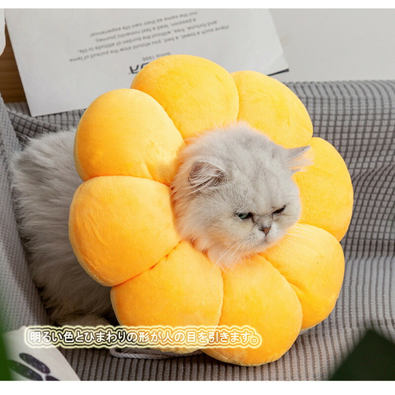58%OFF!】 エリザベスカラー 傷舐め防止 猫用 去勢手術 軽量 ペット用品 M ひまわり agapeeurope.org