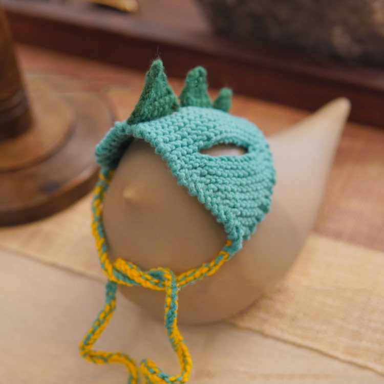 最安値 ペット帽子 猫 帽子 犬 手作り コスチューム ダイナソー 仮装 コスプレ 小型犬 かわいい 犬猫用 キャップ 変身 ハロウィン クリスマス ペット用品 送料無料 Abamedyc Com