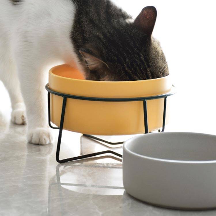 犬 猫 ペット 動物 フードボウル セラミック お皿 陶器製 スチールスタンド ネコ 犬用 食器 お皿 犬 高さ ネコ 犬 スタンド付き 高さがある 安定感 猫 陶器 エサ入れ フードボウル ペット用 食器 猫用 猫 ペット用 ペット用食器・給水器・給餌器 | windowmaker.com