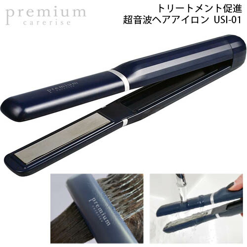 楽天市場】あす楽 正規品 ADST Premium DS2 アドスト プレミアム FDS2 ...