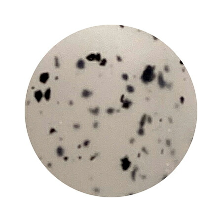 楽天市場】アイスジェル ICE GEL A BLACK ダルメシアンジェル 1173