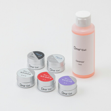 楽天市場】【最大3％OFF】 ディーナジェル Dna Gel 初級検定セット JNA