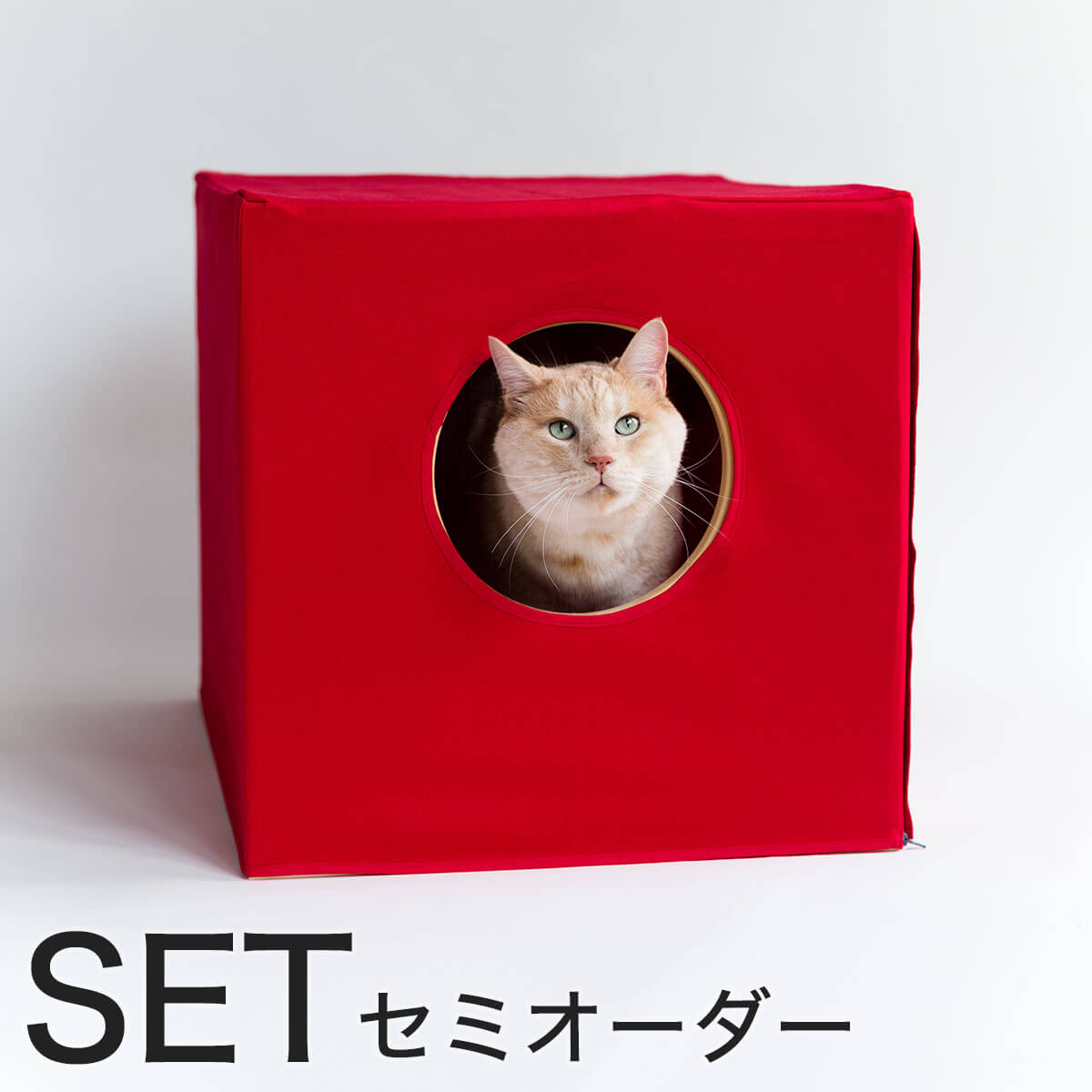 楽天市場 猫 トイレ カバー 猫蔵 セミオーダー 木の本体と消臭カバー セット 受注生産 猫用品の通販nekozuki ねこずき