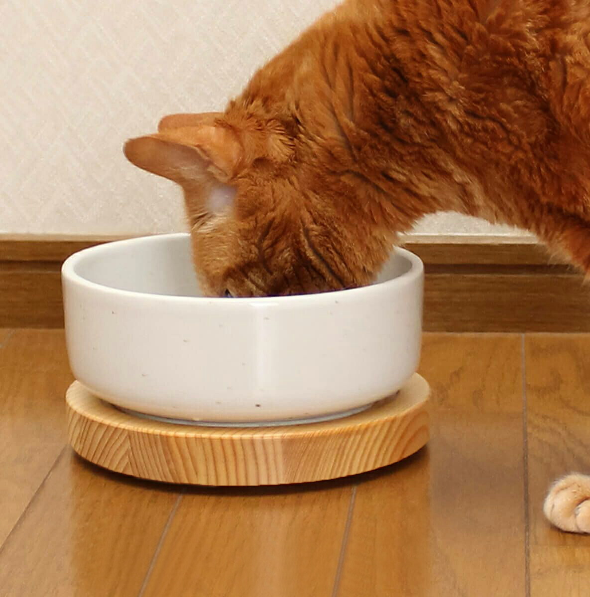 猫用食器台・餌台のまんま台セパレートLARGEハーフ
