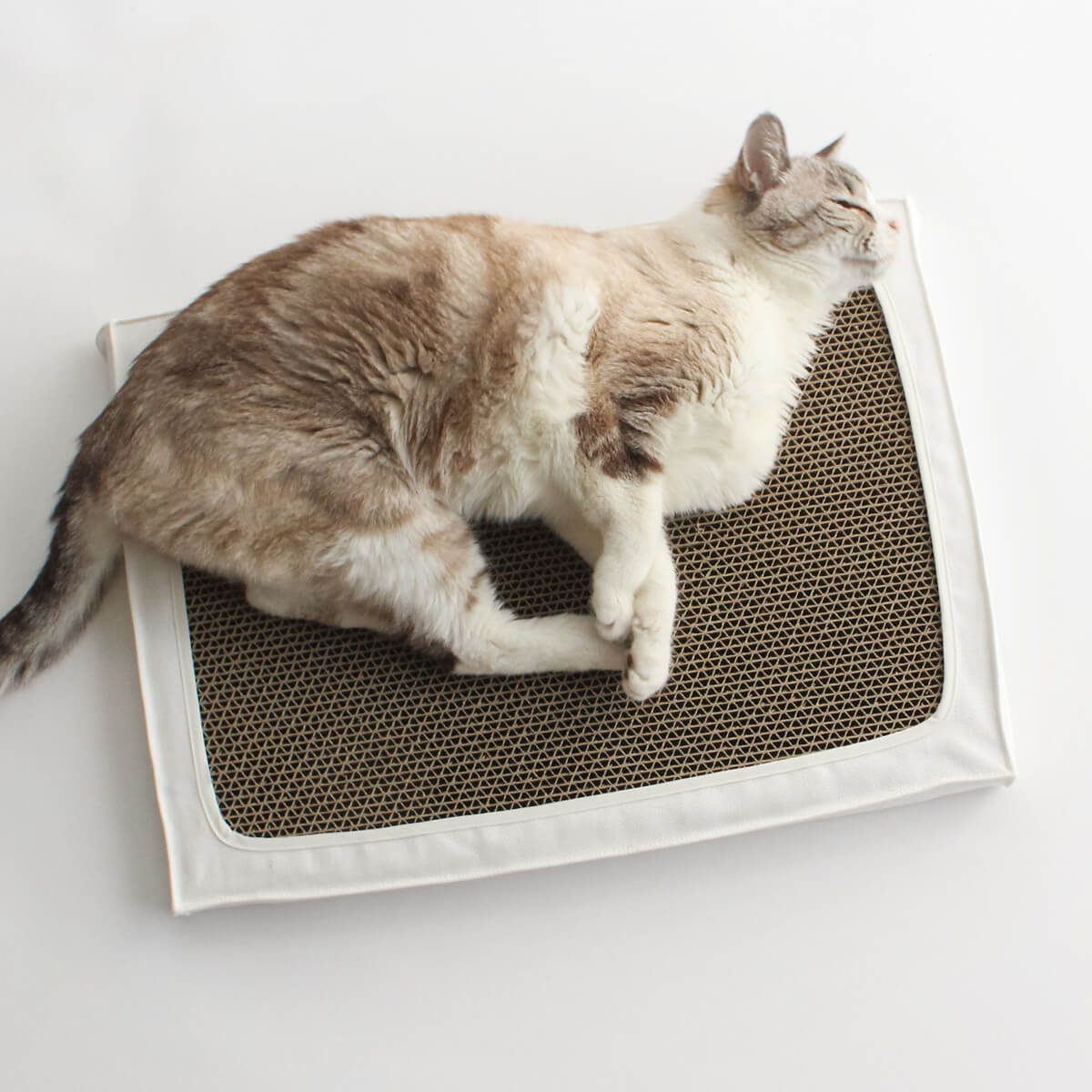 猫 爪とぎ 布製 ベッド セット 研ぎブロック がりがりカバー