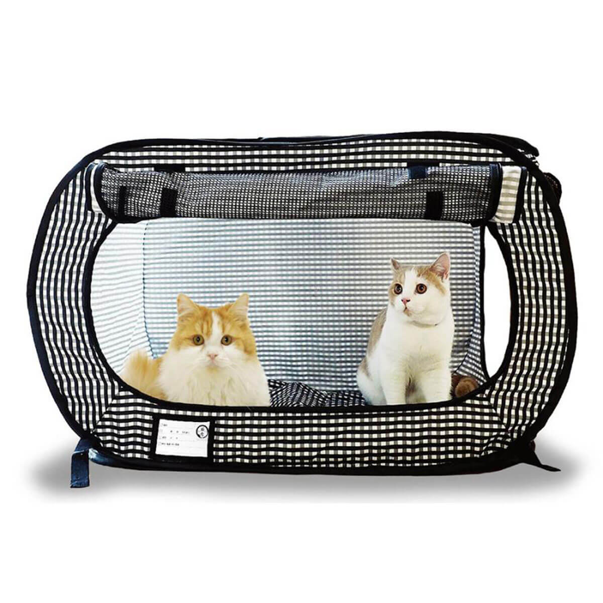 猫さんの夏のおすすめグッズ 2026