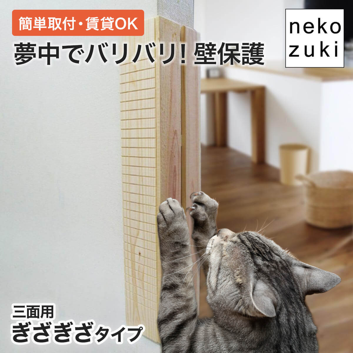 猫さんの夏のおすすめグッズ 2026