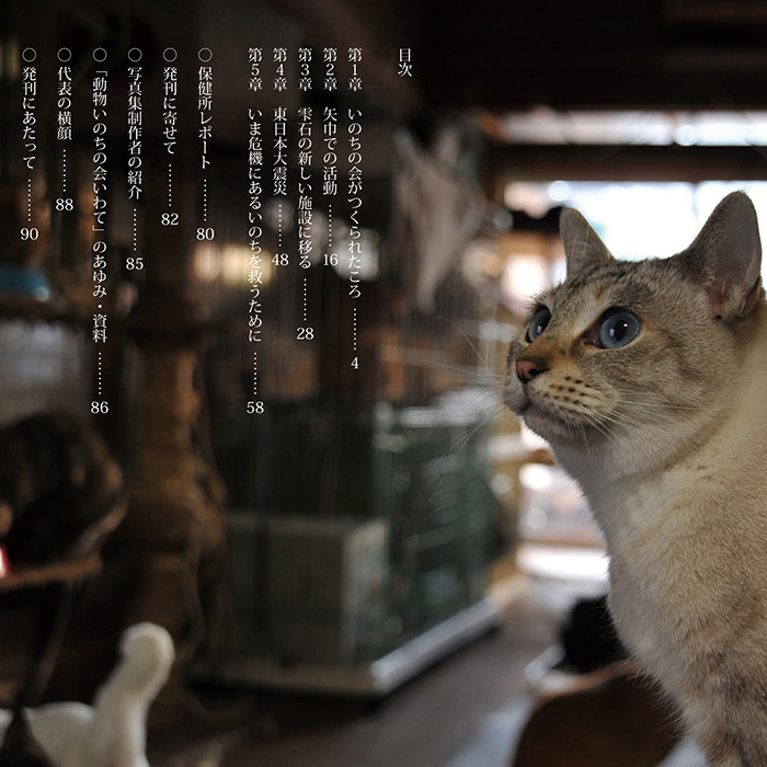 楽天市場 写真集 動物いのちの会いわて 猫 本 猫用品の通販nekozuki ねこずき