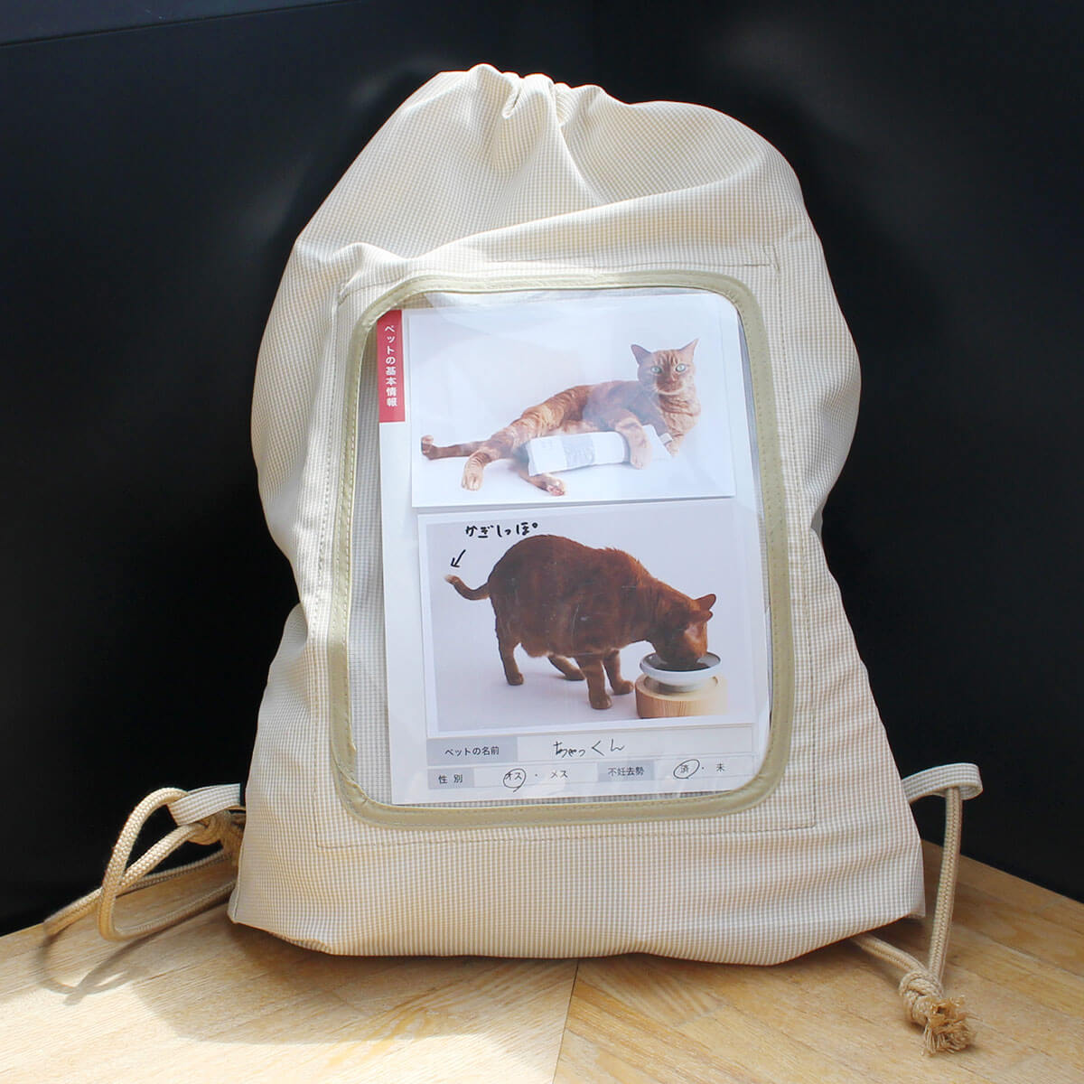 楽天市場 猫 避難 防災用品 Nekozuki 防災セット リュック 食器 折りたたみ トイレ 猫砂 消臭袋 防災カード 迷子チラシ ステッカー 猫 用品の通販nekozuki ねこずき