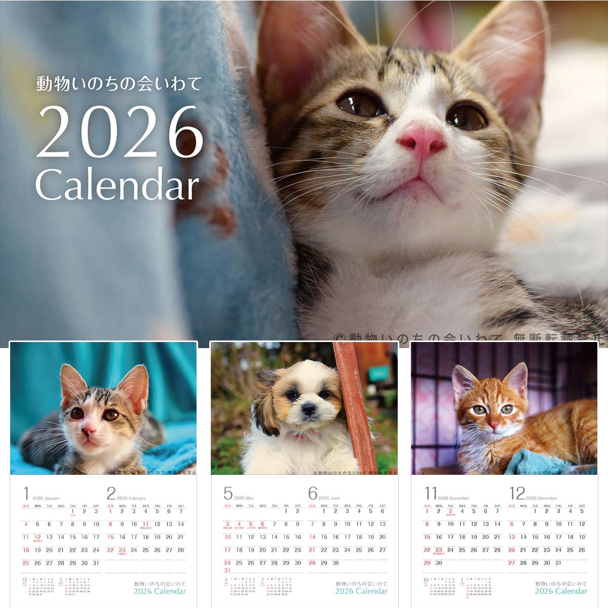 猫田にゃん 楽天市場】臨時特別号 日刊ニャンダイ2024 2月15日発行 タブロイド判28