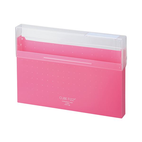 (まとめ）リヒトラブ CUBE FIZZコングレスケース A4 ピンク A-6024-12 1個【×30セット】