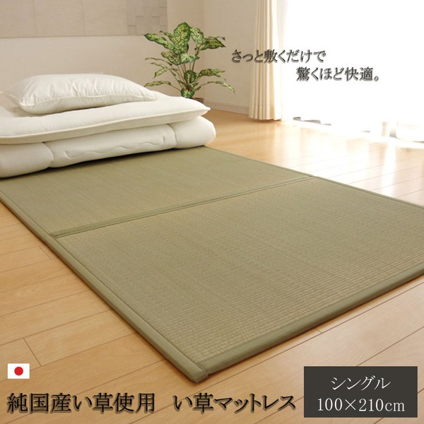 折りたたみ マットレスい草マットレス シングル100×210糎【代引不可】