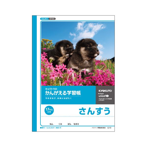 ブラックフライデーでポイント最大44.5倍】（まとめ）キョクトウ