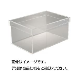 アクリル樹脂海洋博物館 36糎澄み切ったアクリル樹脂