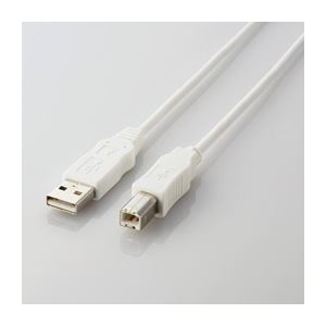 (まとめ)エレコム エコUSB有線テレビ(A-B・0.5m) USB2-ECO05WH【×10仕掛ける】
