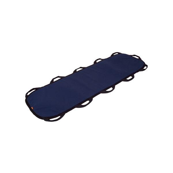 移乗用ゲーム盤のせかえくん 肺結核-502