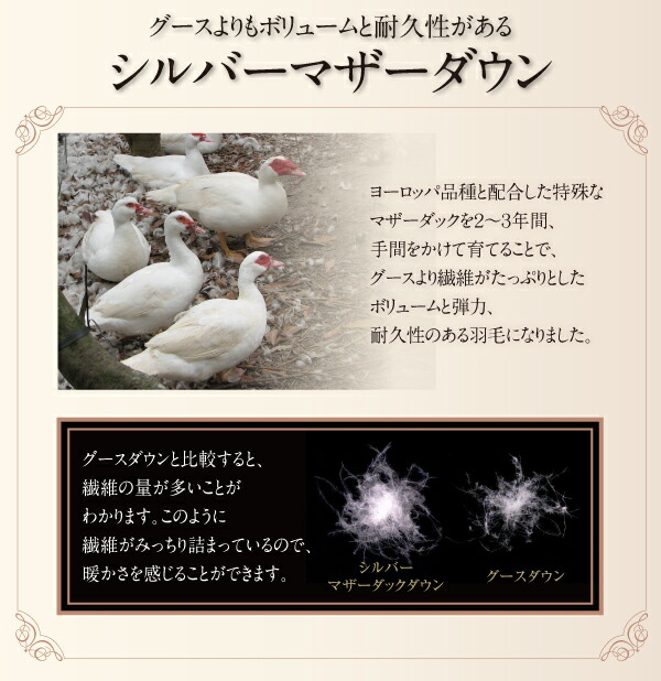 【ポイント10倍】布団8点セットキング【ルイーゼ】アンティークホワイトベッドタイプグース超えの暖かさハンドセレクトダウン95%プレミアムゴールドラベル羽毛布団8点セットLuise【ルイーゼ】