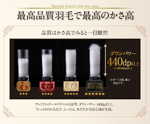 【ポイント10倍】布団8点セットキング【ルイーゼ】アンティークホワイトベッドタイプグース超えの暖かさハンドセレクトダウン95%プレミアムゴールドラベル羽毛布団8点セットLuise【ルイーゼ】