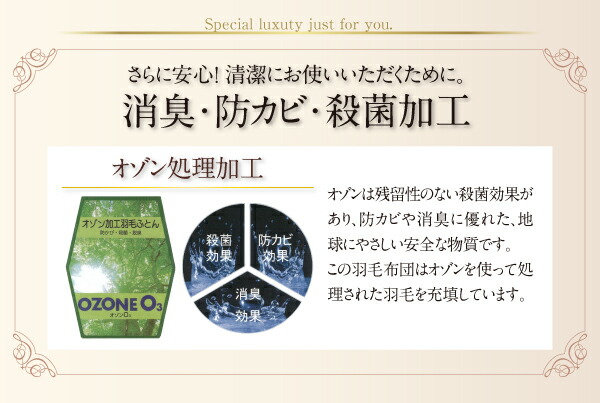 【ポイント10倍】布団8点セットキング【ルイーゼ】アンティークホワイトベッドタイプグース超えの暖かさハンドセレクトダウン95%プレミアムゴールドラベル羽毛布団8点セットLuise【ルイーゼ】