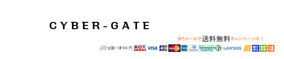 楽天市場 キャラクター ディズニー ベイマックス Cyber Gate 楽天市場店