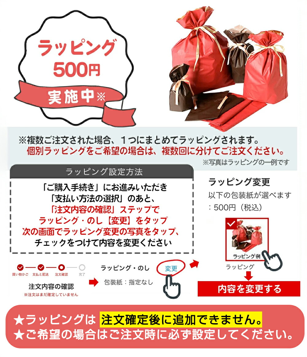 11/20 PM8時～限定500円オフクーポン】【業界最多のパーツ数】【楽天1