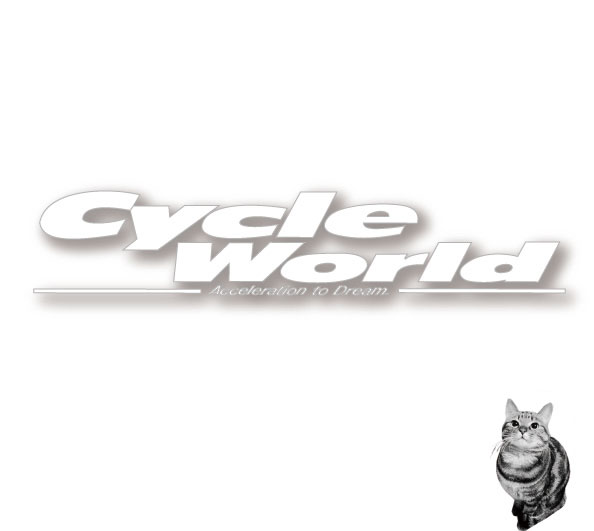 ☆【オーダー専用ページ】お取り寄せ専用ページ　サイクルワールド店　こちらからオーダー頂きましたら、金額お見積り致します【バイク用品】｜バイク用品専門店サイクルワールド