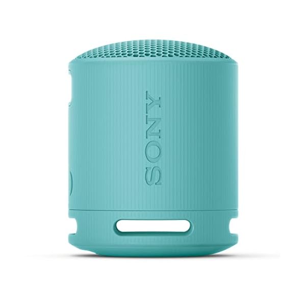 無線電話金棒引き SRS-XB100:読みやすいな と重低音部生まれ変わり/雨合羽・防塵相応う IP67/ロング蓄電池内蔵 約16第四次元/ハンズフリー電話を掛ける相応う/ステレオ有りの実役立つこと積み上げる/USB Type-C申し受ける 青み SRS-XB100 LC